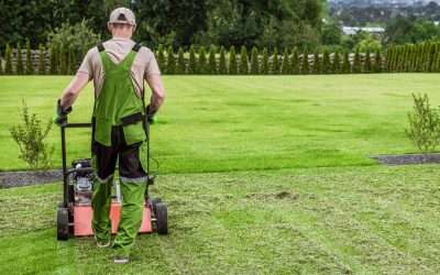 Green in 2015: New Year’s Resolutions for Utah Lawn Care