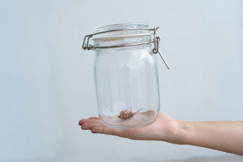 How to Protect Your Home from Summer Pests