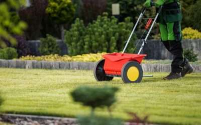 Spring Fertilizing Guide