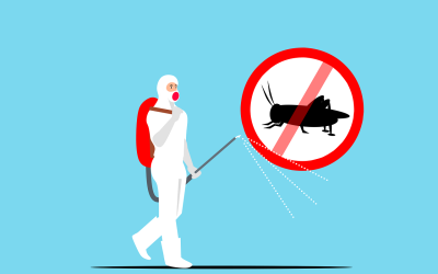 7 Warning Signs You Might Have A Bug Infestation