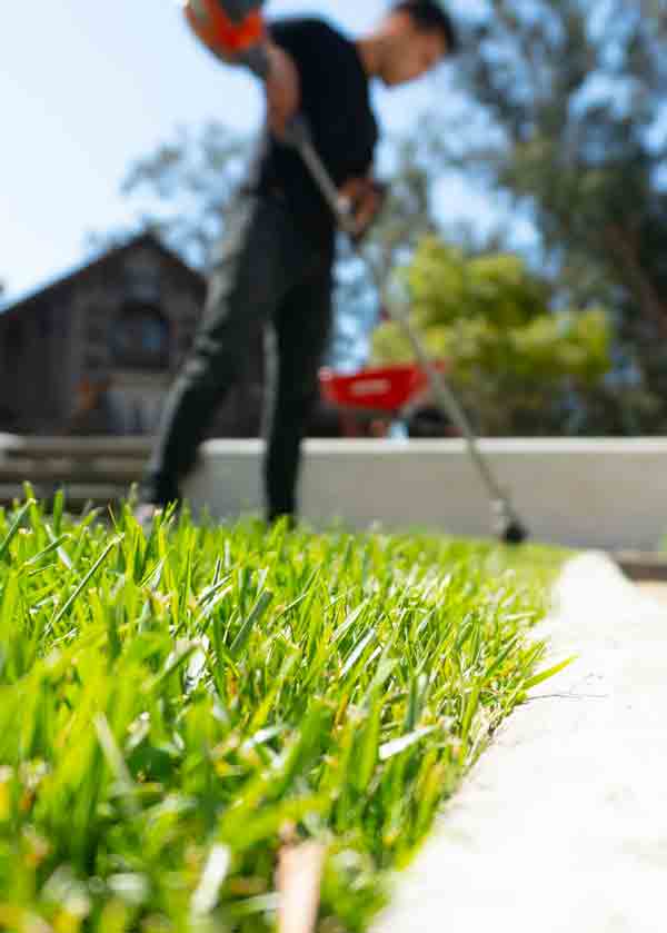 Person trimming grass with lawn edger.