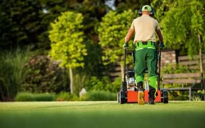 Professional vs. DIY Sprinkler Repair: When to Call in the Experts