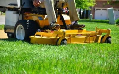 9 Healthy Ways To Get Your Lawn Ready For 2022