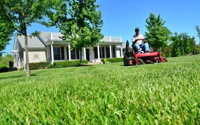 8 Lawn Care Tips And Tricks For The Perfect Lawn