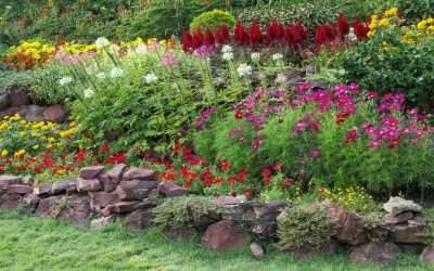 7 Lawn Care Hacks To Save You Money, Time