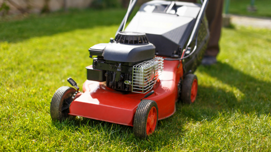 Biggest Lawn Care Mistakes