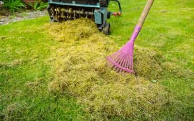 Should You Bag or Mulch?