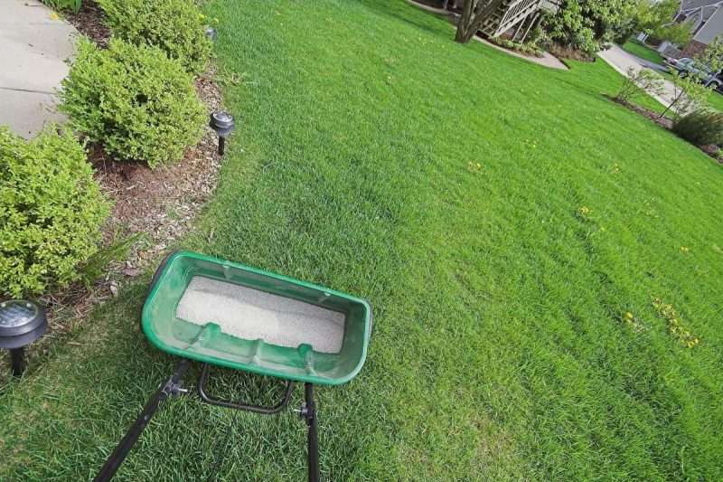 Lawn Fertilizing 101