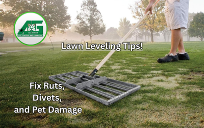 Complete Guide to Lawn Leveling and Reseeding