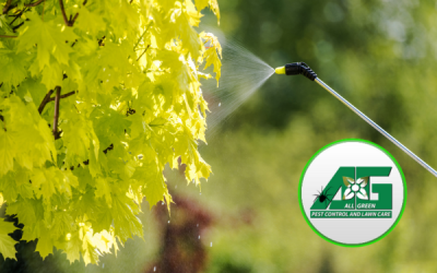 Protect Your Trees; Tree Pests, Tree Fungus, Tree Diseases, and Fertilization