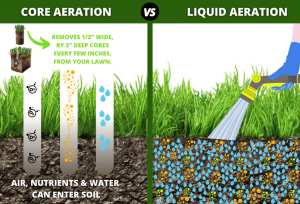 Comparison of core and liquid lawn aeration methods.