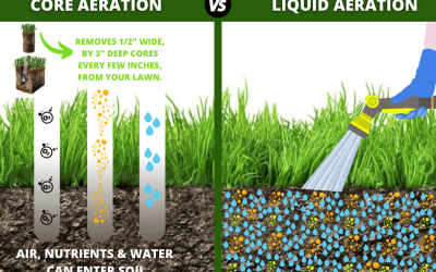 Comparing Mechanical Aeration and Liquid Aeration for Lawn Care