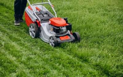 8 Lawn Mowing Tips For The Summer