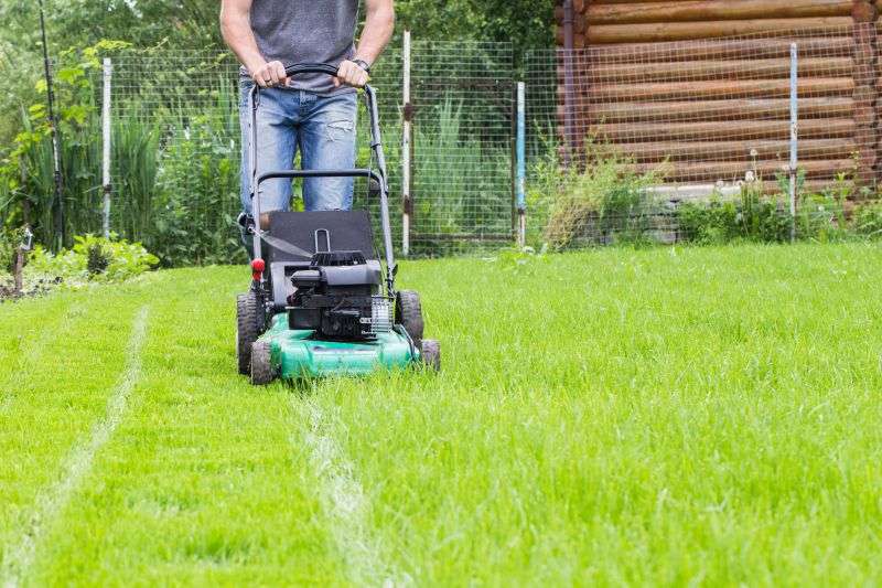 Should You Buy A Gas Mower Or Electric Mower?