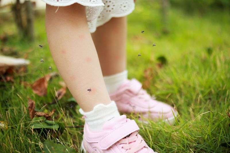 9 Mosquito Control Tips