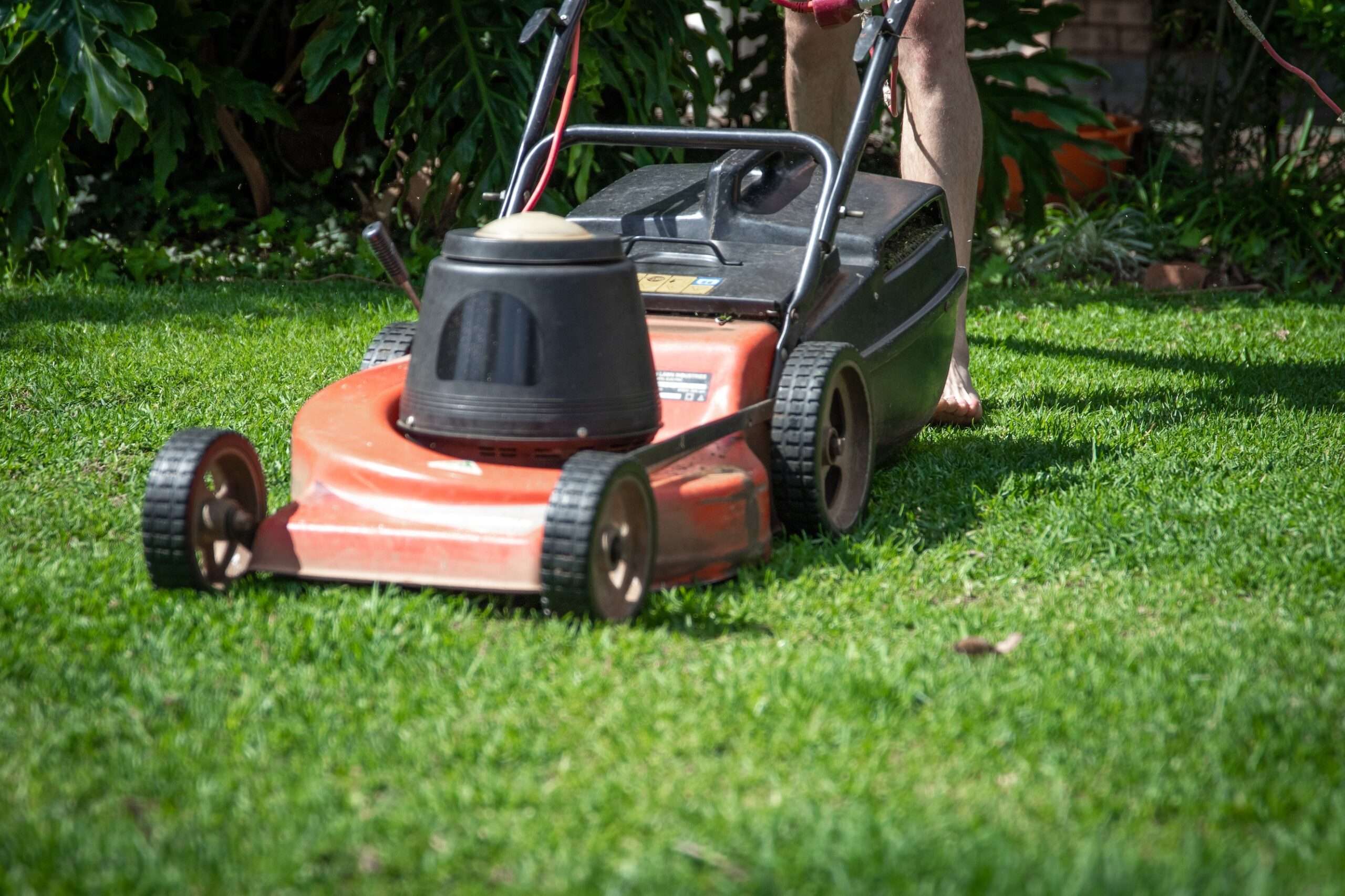 mowing the lawn