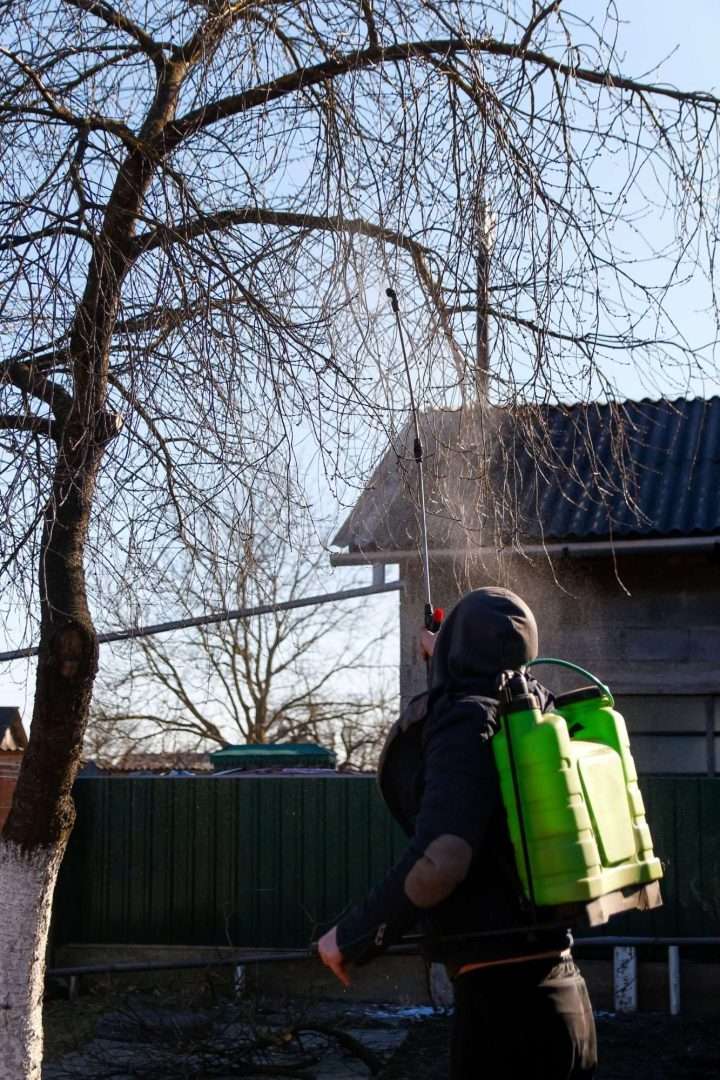 organic-ecological-agriculture-defocus-farmer-man-2023-11-27-05-15-47-utc Employee spraying Tree with fertilizer
