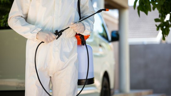Pest Control Myths vs Facts