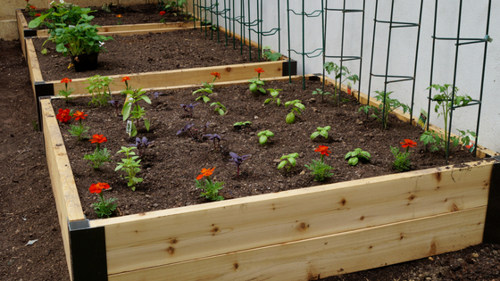 How To Keep Pests Out of Your Garden