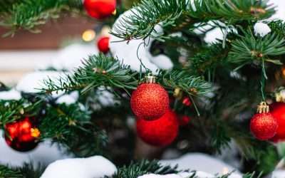 Preparing Your Home To Host The Holidays