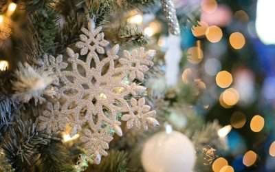 Prevention Tips for a Pest-Free Holiday Season