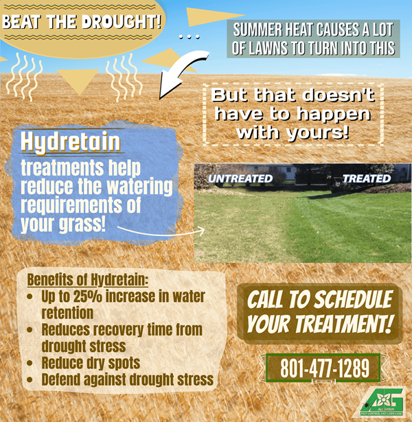 Soil Moisture Manager 2 Ad promoting Hydretain for drought-resistant lawns.
