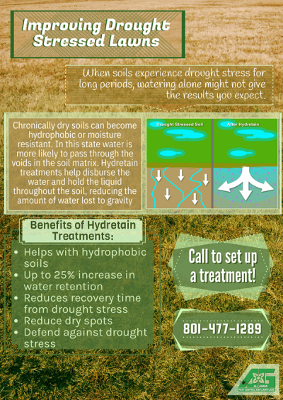 Soil Moisture Manager 4 Infographic on improving drought-stressed lawns and soil treatments.