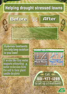 Ad for lawn hydration treatment showing before and after results.