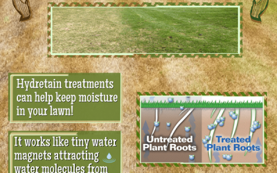 Soil Moisture Manager: Improve Water Efficiency In the Soil and Root Zone