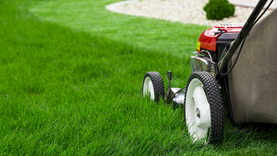How To Keep Your Lawn Green This Summer