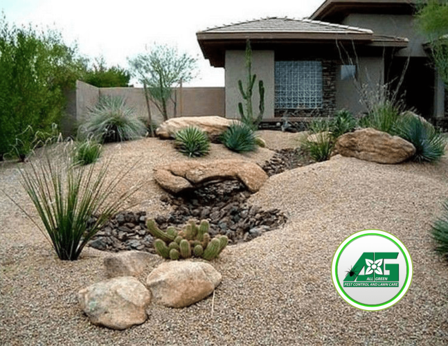 Untitled design (1) Desert xeriscape garden with cacti and gravel.