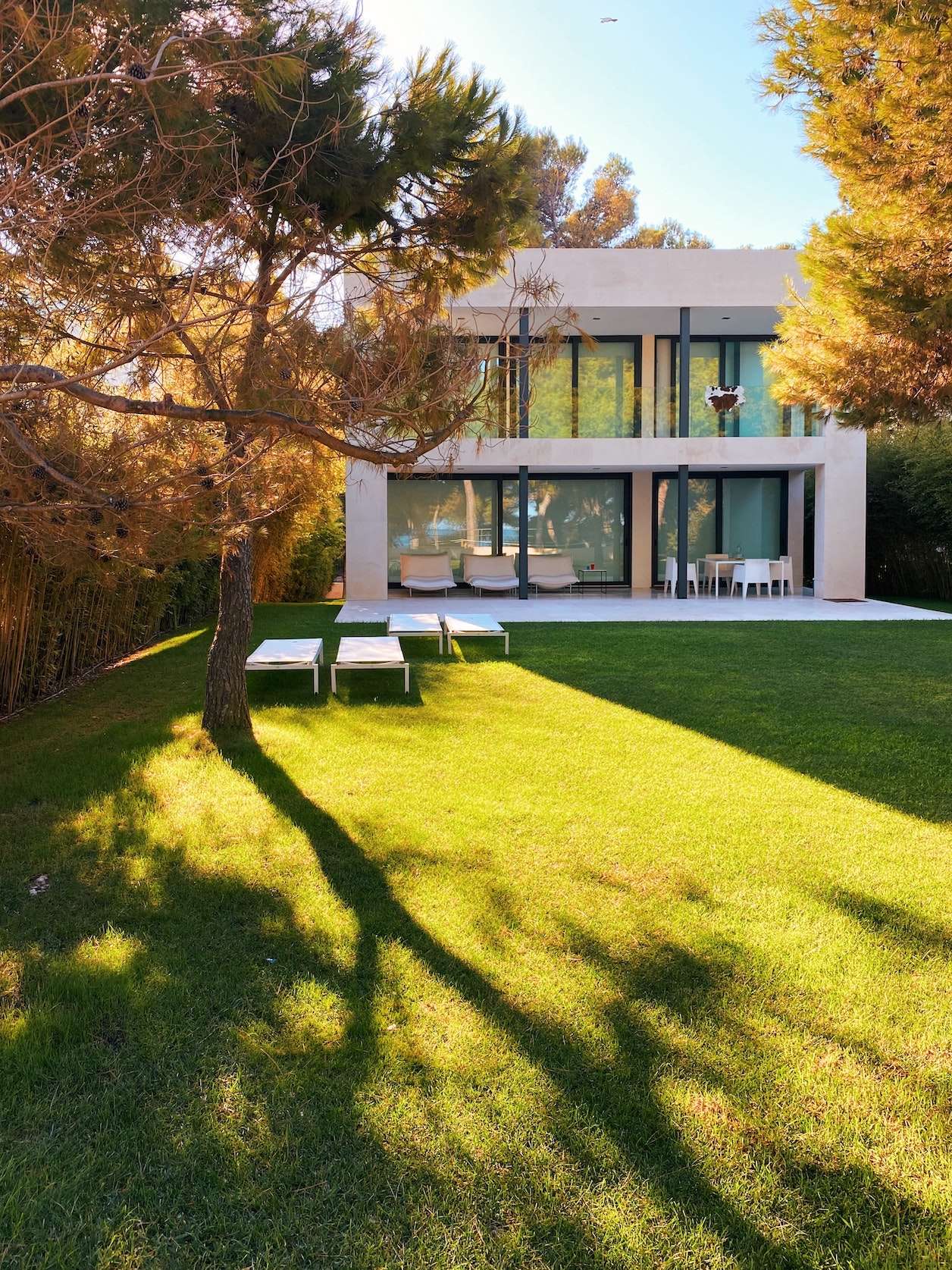 warm season grass lawn