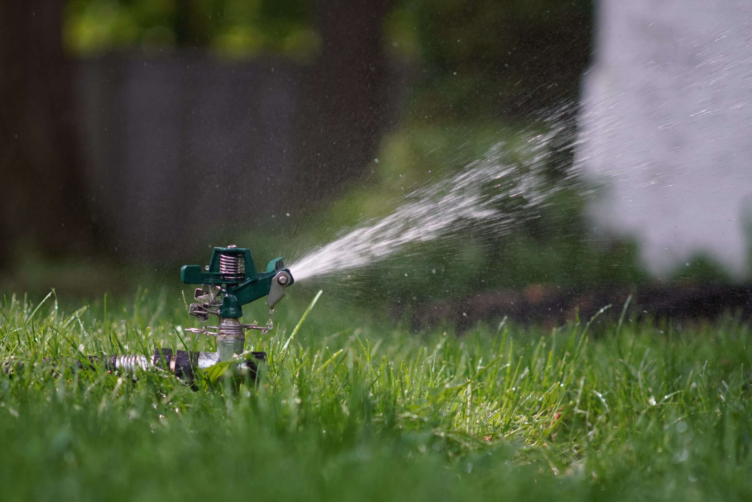 watering the lawn
