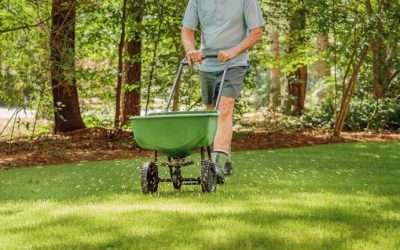 When to Fertilize Your Lawn?