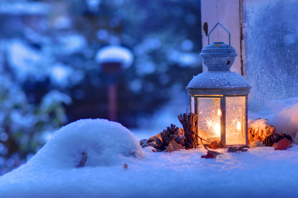 7 Reasons To Continue Pest Control in The Winter