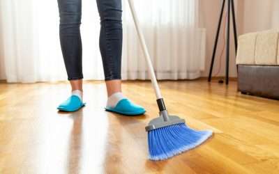 Preventive Pest Control Inside Your Home